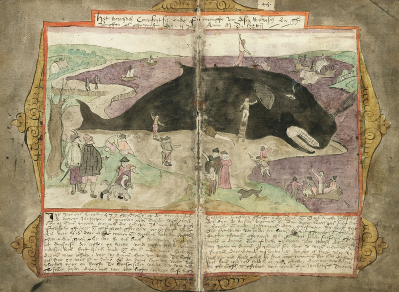 Illustration for article titled How Europeans Imagined Exotic Animals Centuries Ago, Based on Hearsay